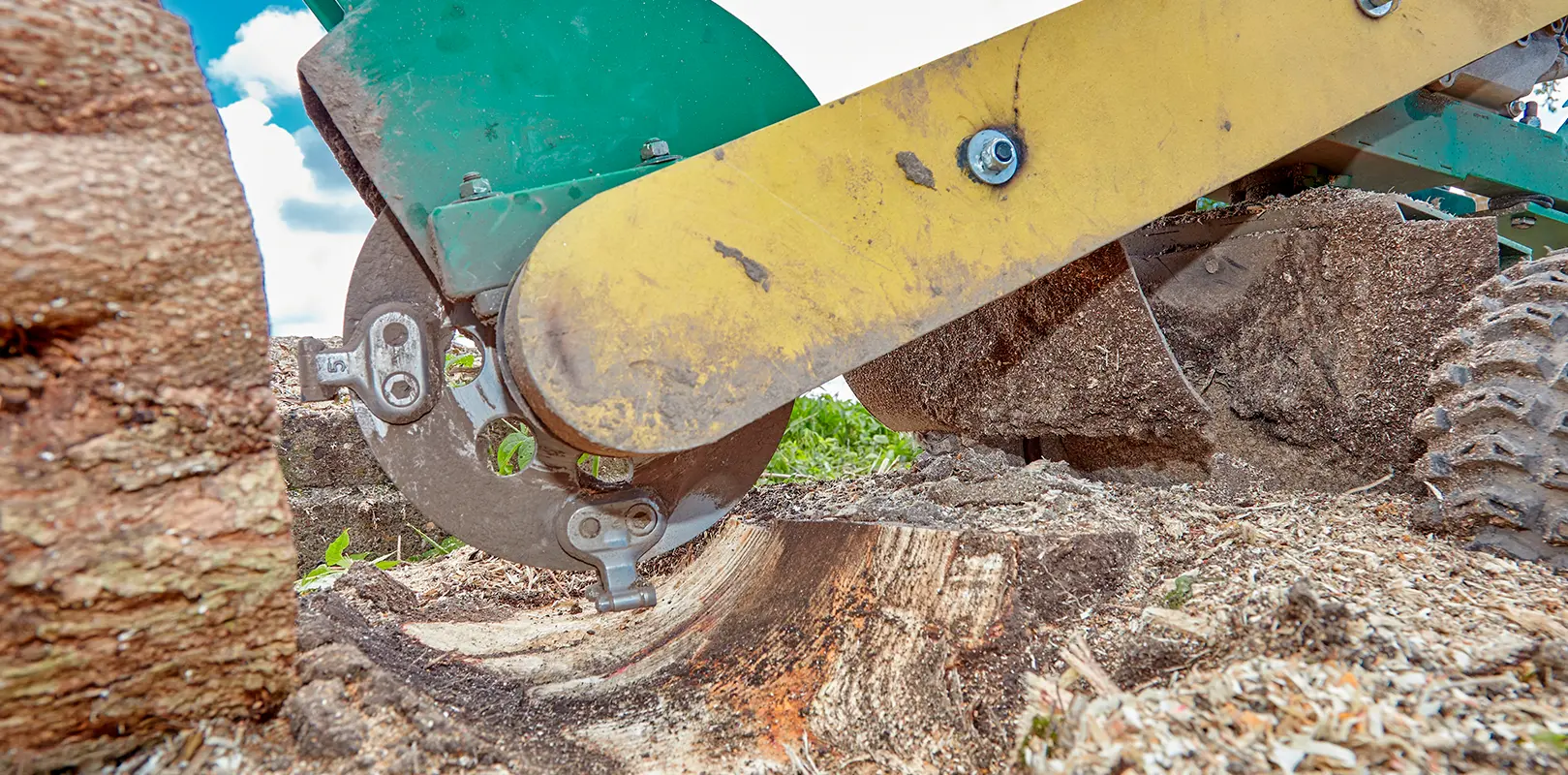 Stump Grinding & Removal