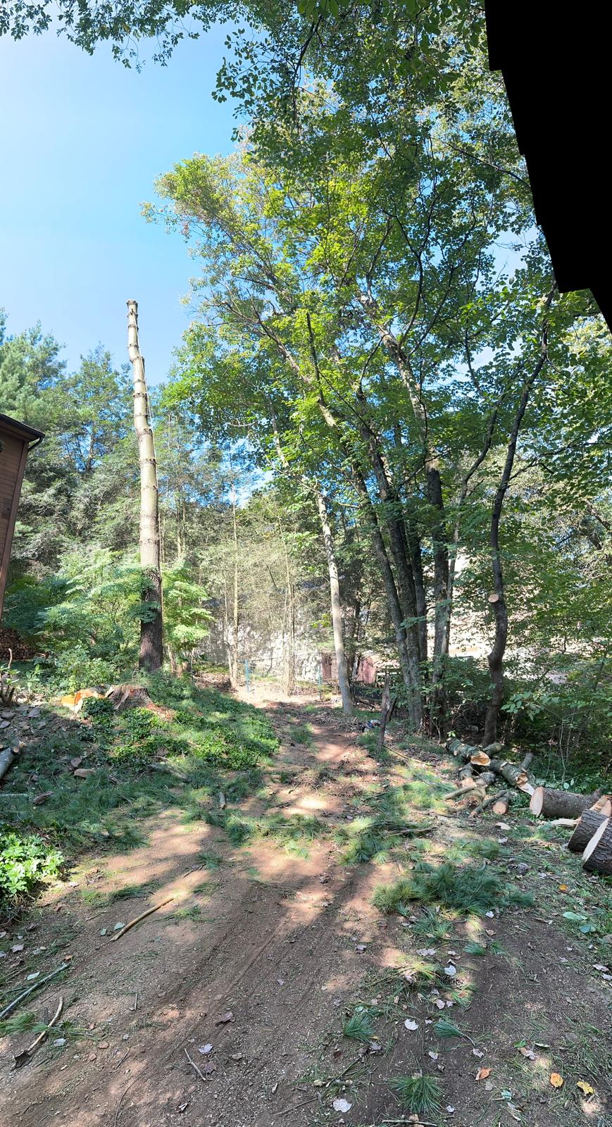 WhatsApp Image 2026-01-16 at 4.58